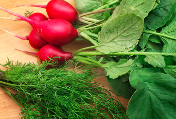 Image showing Radishes and green dill on a cutting Board