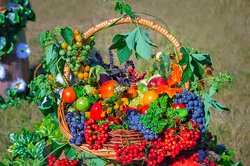 Image showing Harvest vegetables, fruits, berries sold at the fair