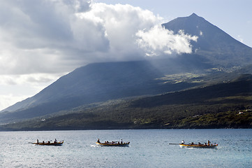 Image showing Row boat race