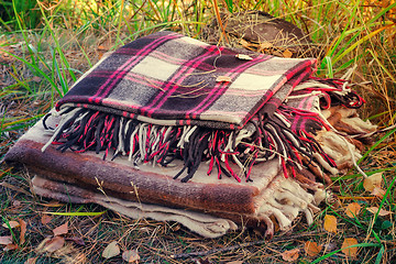 Image showing Two convenient plaid relaxing in the woods for two