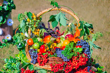 Image showing Harvest vegetables, fruits, berries sold at the fair