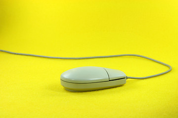 Image showing mouse running