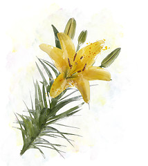 Image showing Yellow Lily Watercolor