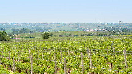 Image showing Rheinhessen