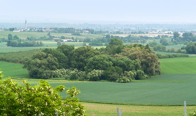 Image showing Rheinhessen