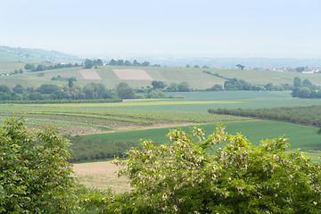 Image showing Rheinhessen