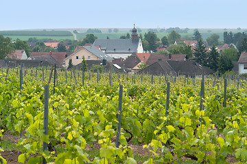 Image showing Rheinhessen