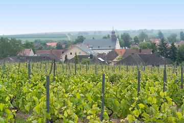 Image showing Rheinhessen