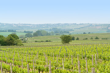 Image showing Rheinhessen