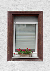 Image showing window and flower pot