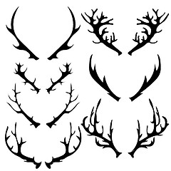 Image showing Different Horns