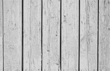 Image showing Vector Vintage  White Background Wood Wall