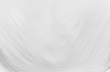 Image showing High resolution white canvas texture