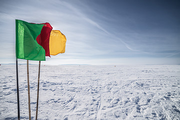 Image showing Flags on the background of winter sky