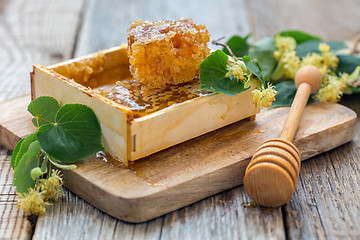 Image showing Honey comb and linden flowers.