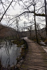 Image showing Wooden path trough the lakes