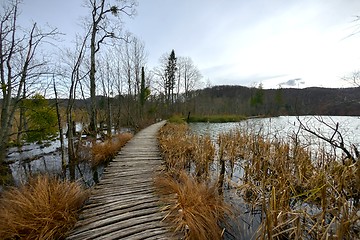 Image showing Wooden path trough the lakes