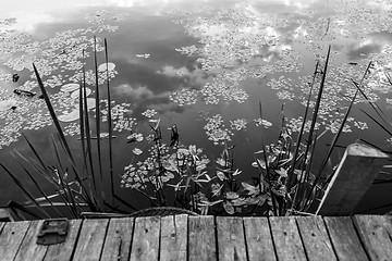 Image showing Peaceful place at the pond