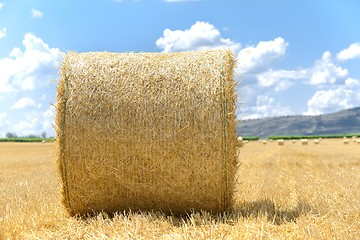 Image showing Hay bails on the field