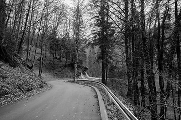 Image showing Road in autumn forest landscape