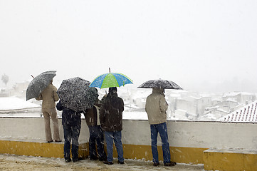 Image showing People with umbrellas in snow