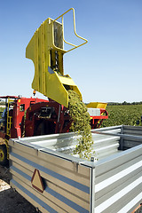 Image showing Grape harvesting machinery