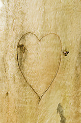 Image showing Heart of love