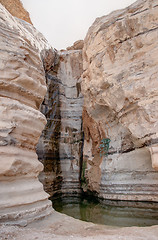 Image showing Water spring in a desert