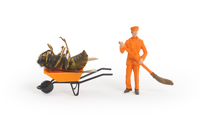 Image showing Dead wasp in a miniature wheelbarrow