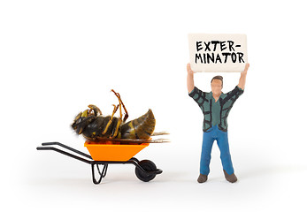 Image showing Dead wasp in a miniature wheelbarrow