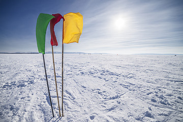 Image showing Flags on the background of winter sky