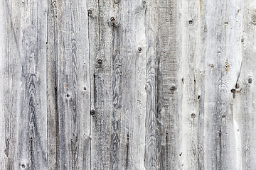 Image showing high resolution white wood backgrounds