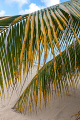 Image showing Beach on tropical island. Clear blue water, sand, clouds. 