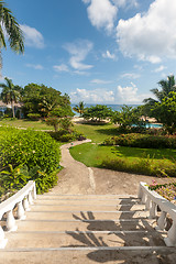 Image showing tropical garden with flowers and road to beach