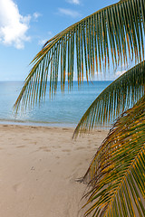 Image showing Beach on tropical island. Clear blue water, sand, clouds. 