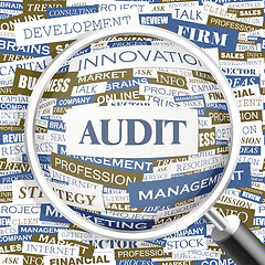 Image showing AUDIT