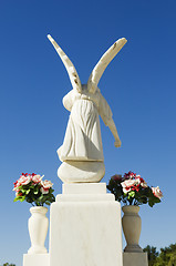 Image showing White angel