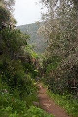 Image showing Spring season landscape