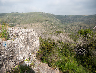 Image showing Spring season landscape