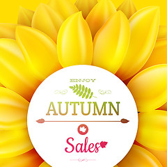 Image showing Sunflower autumn sale. EPS 10