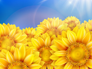 Image showing Sunflowers with bright blue sky. EPS 10