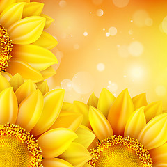 Image showing Macro SunFlower Background. EPS 10