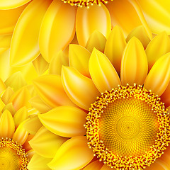 Image showing Macro SunFlower Background. EPS 10