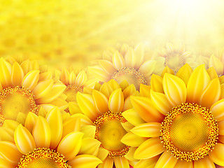 Image showing Sunflower petals with summer sun. EPS 10