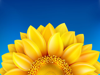 Image showing Sunflower and blue sky background. EPS 10