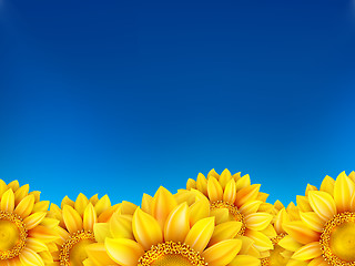 Image showing Field of sunflowers and blue sky. EPS 10