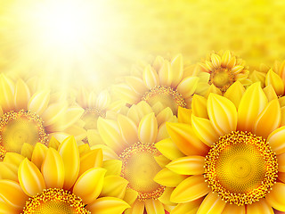 Image showing Sunflower petals with summer sun. EPS 10