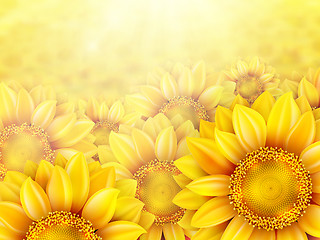 Image showing Sunflower petals with summer sun. EPS 10