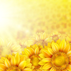 Image showing Sunflower petals with summer sun. EPS 10