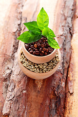 Image showing coffee beans